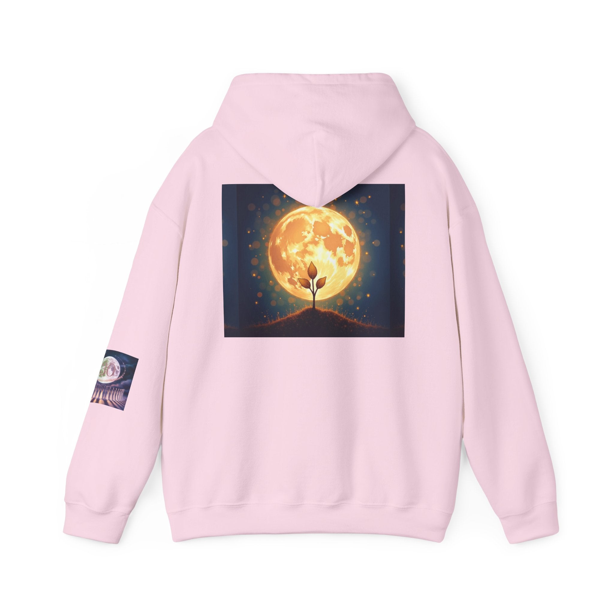 Hooded Sweatshirt Trust the Fertility Process